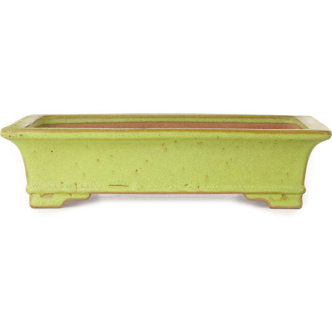 Rectangular yellow bonsai pot by Reiho - 345 x 240 x 85 mm