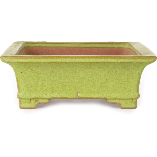 Maceta rectangular amarilla para bonsái de Reiho - 345 x 240 x 85 mm