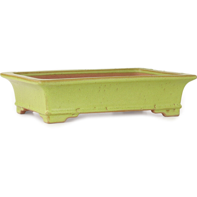 Rechteckiger gelber Bonsai-Topf von Reiho – 345 x 240 x 85 mm