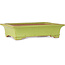 Rechthoekige gele bonsaipot van Reiho - 345 x 240 x 85 mm