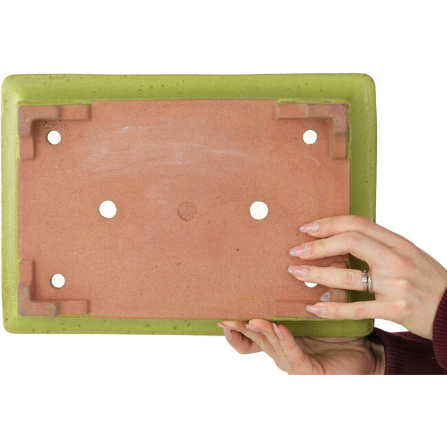 Maceta rectangular amarilla para bonsái de Reiho - 345 x 240 x 85 mm