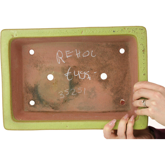 Maceta rectangular amarilla para bonsái de Reiho - 345 x 240 x 85 mm