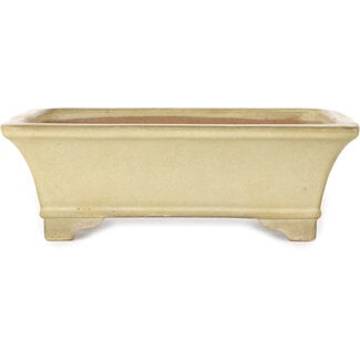  Yamafusa - Takehiko Koie 250 mm rectangular off-white bonsai pot by Yamafusa, Tokoname, Japan