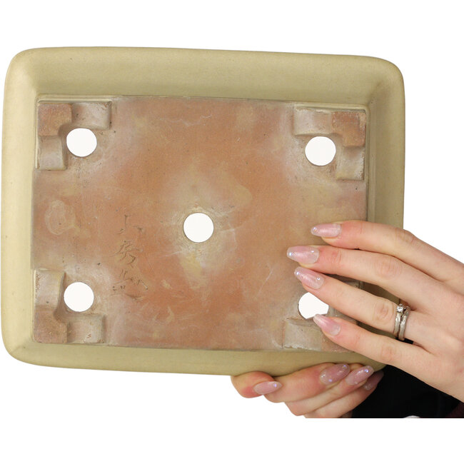 Rectangular off-white bonsai pot by Yamafusa - 250 x 203 x 85 mm