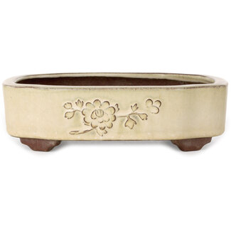  Yamaaki 255 mm mokko off-white bonsai pot by Yamaaki, Tokoname, Japan