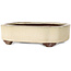 Mokko off-white bonsai pot by Yamaaki - 255 x 210 x 70 mm