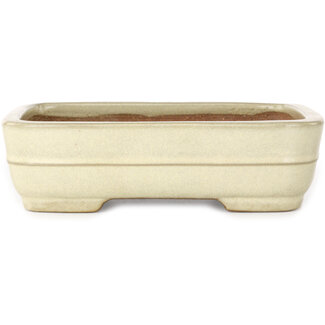  Yamafusa - Takehiko Koie 190 mm rectangular off-white bonsai pot by Yamafusa, Tokoname, Japan