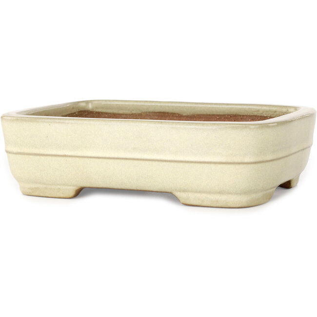 Rectangular off-white bonsai pot by Yamafusa - 190 x 148 x 52 mm