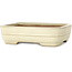 Rectangular off-white bonsai pot by Yamafusa - 190 x 148 x 52 mm