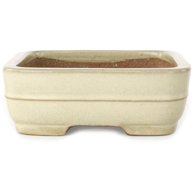 Rectangular off-white bonsai pot by Yamafusa - 190 x 148 x 52 mm