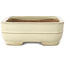 Rectangular off-white bonsai pot by Yamafusa - 190 x 148 x 52 mm