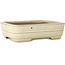 Rectangular off-white bonsai pot by Yamafusa - 190 x 148 x 52 mm