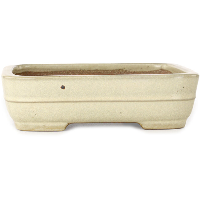 Rectangular off-white bonsai pot by Yamafusa - 190 x 148 x 52 mm