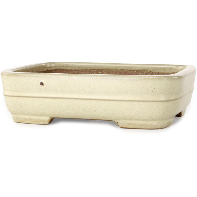 Rectangular off-white bonsai pot by Yamafusa - 190 x 148 x 52 mm