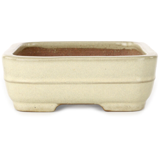 Rectangular off-white bonsai pot by Yamafusa - 190 x 148 x 52 mm