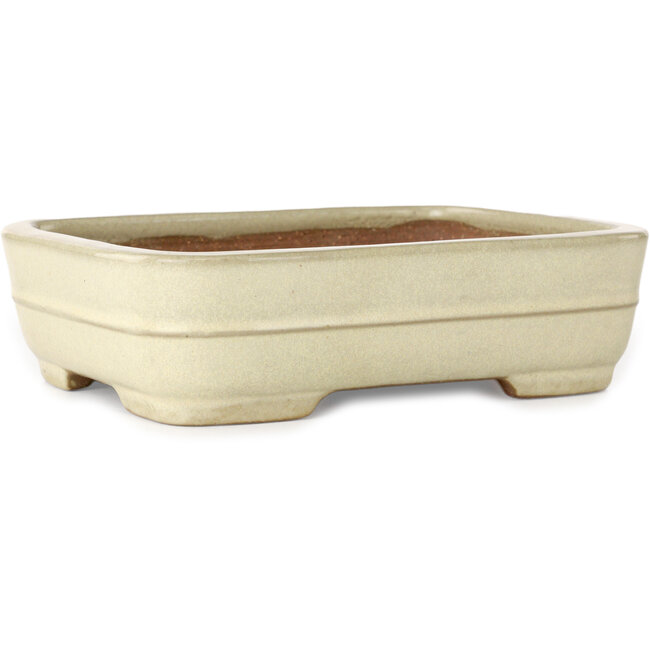 Rectangular off-white bonsai pot by Yamafusa - 190 x 148 x 52 mm