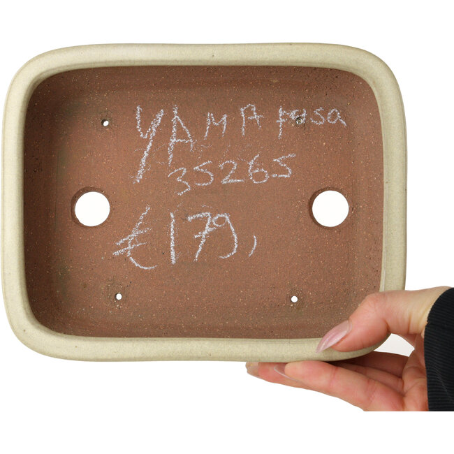 Rectangular off-white bonsai pot by Yamafusa - 190 x 148 x 52 mm