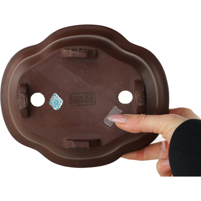 Mokko unglazed bonsai pot by Yamaaki - 185 x 157 x 78 mm