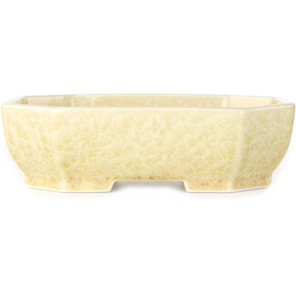  Heian Senzan 161 mm oval off-white, crystal glaze bonsai pot by Heian Senzan, Tokoname, Japan