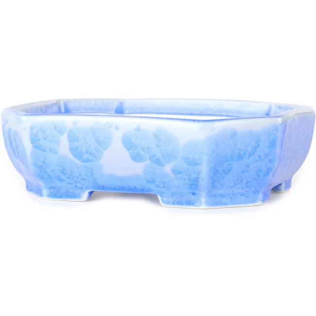 Pot à bonsaï ovale bleu clair à glaçure cristalline par Heian Senzan - 161 x 132 x 50 mm