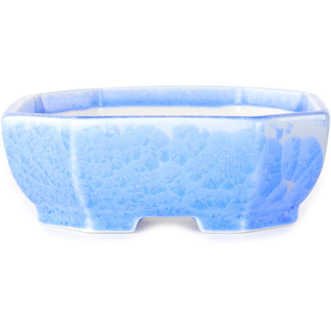 Maceta ovalada para bonsái con esmalte azul claro de Heian Senzan (161 x 132 x 50 mm)