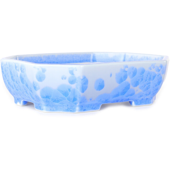 Maceta ovalada para bonsái con esmalte azul claro de Heian Senzan (161 x 132 x 50 mm)