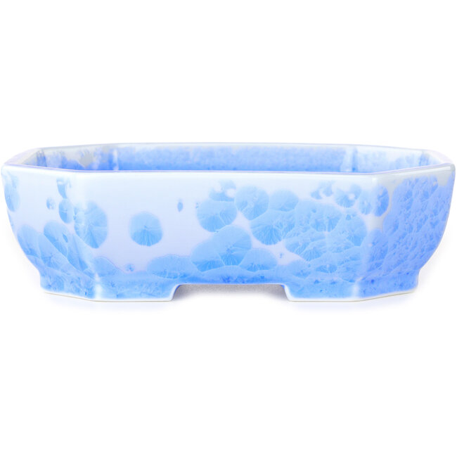 Maceta ovalada para bonsái con esmalte azul claro de Heian Senzan (161 x 132 x 50 mm)