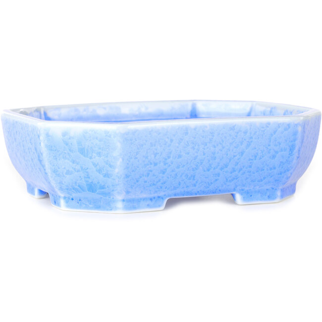 Maceta ovalada para bonsái con esmalte azul claro de Heian Senzan (161 x 132 x 50 mm)