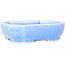 Pot à bonsaï ovale bleu clair à glaçure cristalline par Heian Senzan - 161 x 132 x 50 mm