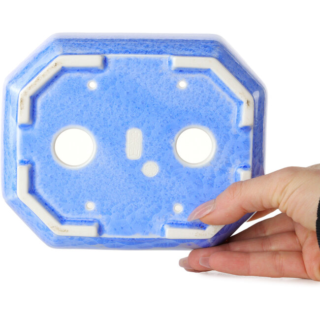 Vaso bonsai ovale in smalto cristallino azzurro chiaro di Heian Senzan - 161 x 132 x 50 mm