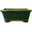 Rectangular green bonsai pot by Terahata Satomi Mazan - 285 x 253 x 98 mm