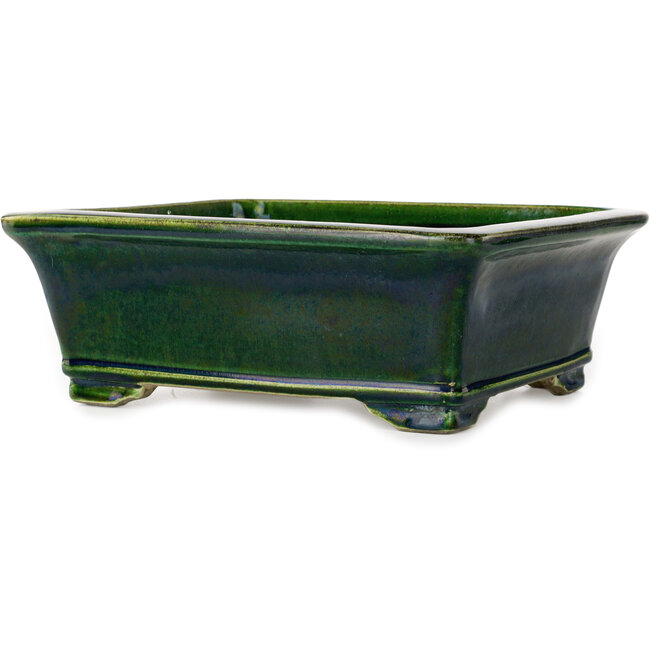 Vaso bonsai rettangolare verde di Terahata Satomi Mazan - 285 x 253 x 98 mm