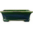 Rectangular green bonsai pot by Terahata Satomi Mazan - 250 x 215 x 82 mm