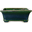 Rectangular green bonsai pot by Terahata Satomi Mazan - 250 x 215 x 82 mm