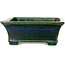 Rectangular green bonsai pot by Terahata Satomi Mazan - 250 x 215 x 82 mm