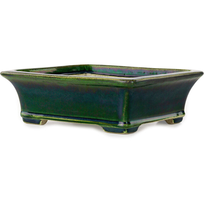 Rectangular green bonsai pot by Terahata Satomi Mazan - 250 x 215 x 82 mm