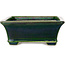 Rectangular green bonsai pot by Terahata Satomi Mazan - 250 x 215 x 82 mm