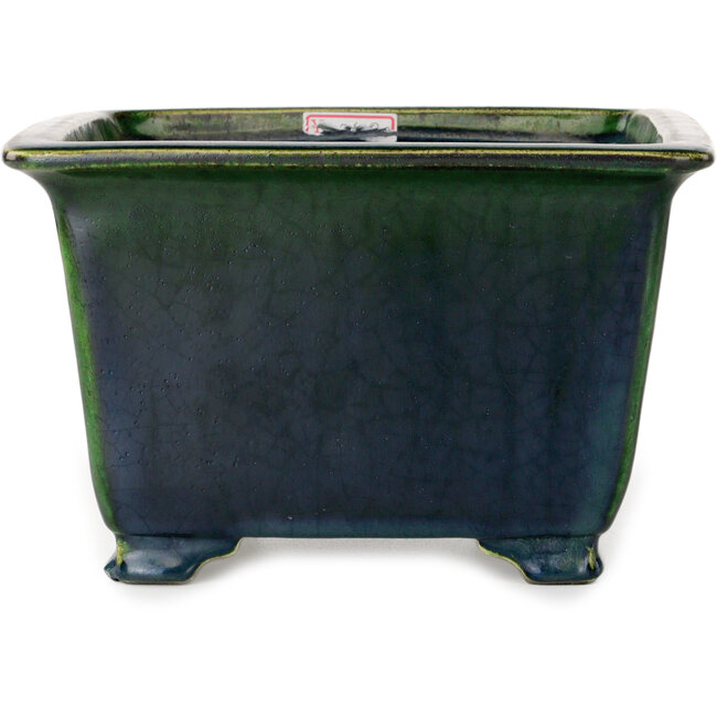 Square green bonsai pot by Terahata Satomi Mazan - 225 x 225 x 140 mm