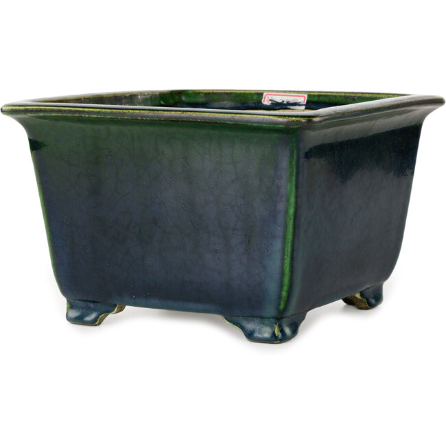 Square green bonsai pot by Terahata Satomi Mazan - 225 x 225 x 140 mm