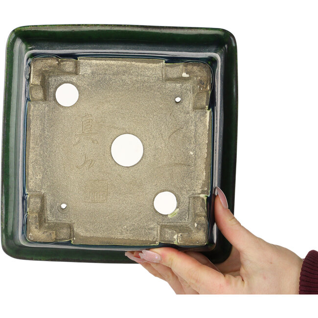 Square green bonsai pot by Terahata Satomi Mazan - 225 x 225 x 140 mm