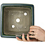 Square green bonsai pot by Terahata Satomi Mazan - 225 x 225 x 140 mm