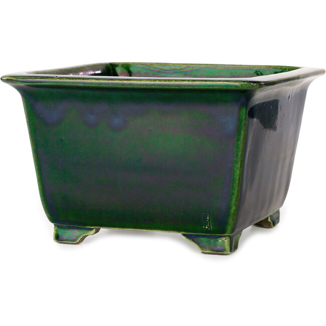 Square green bonsai pot by Terahata Satomi Mazan - 225 x 225 x 140 mm