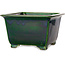 Vierkante groene bonsaipot van Terahata Satomi Mazan - 225 x 225 x 140 mm
