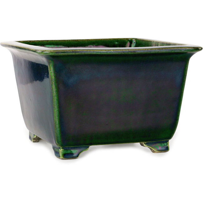 Square green bonsai pot by Terahata Satomi Mazan - 225 x 225 x 140 mm