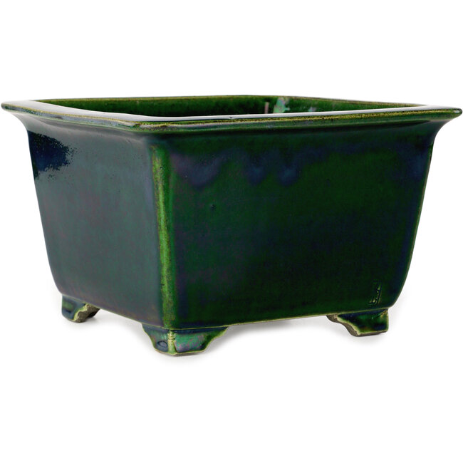 Square green bonsai pot by Terahata Satomi Mazan - 225 x 225 x 140 mm