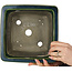 Maceta cuadrada para bonsái verde de Terahata Satomi Mazan - 225 x 225 x 140 mm