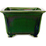 Vierkante groene bonsaipot van Terahata Satomi Mazan - 196 x 196 x 118 mm