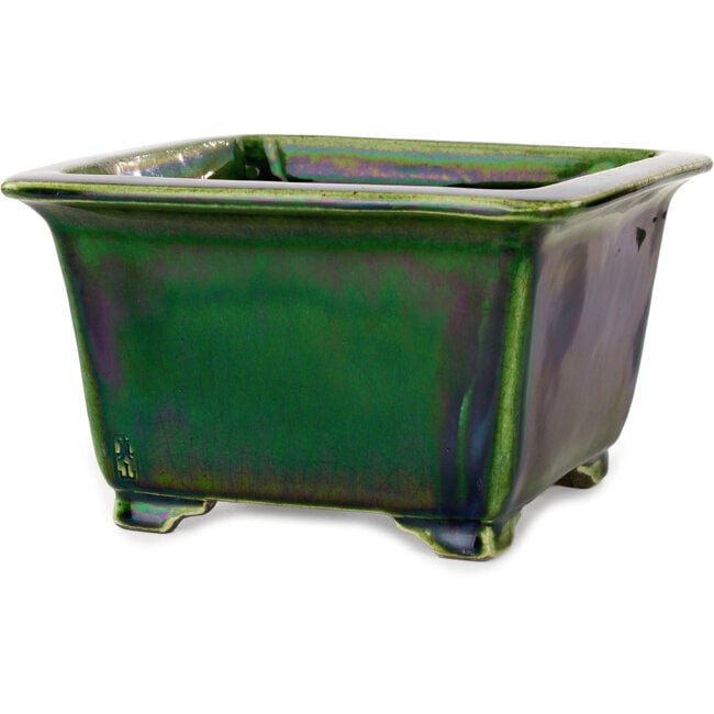 Maceta cuadrada para bonsái verde de Terahata Satomi Mazan - 196 x 196 x 118 mm