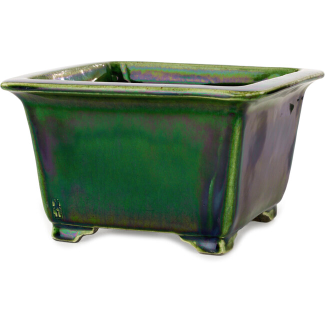 Square green bonsai pot by Terahata Satomi Mazan - 196 x 196 x 118 mm