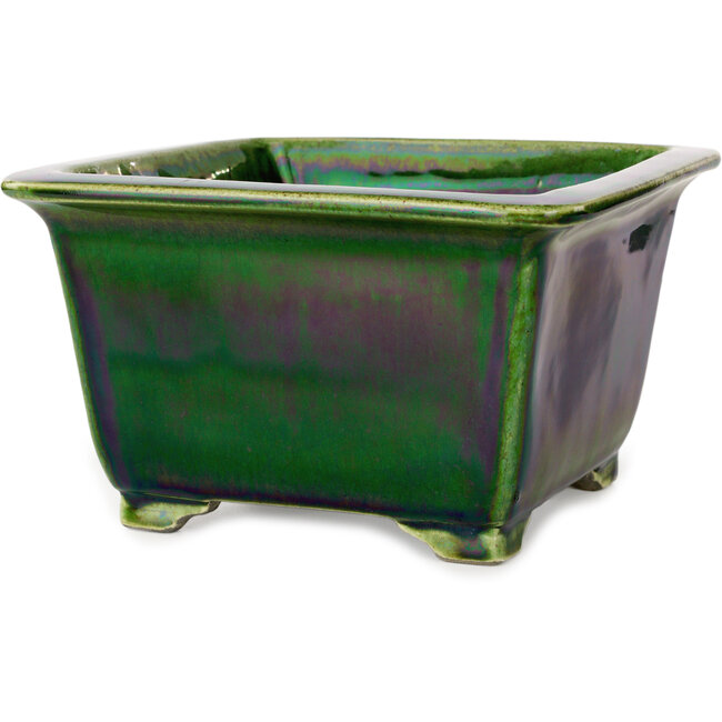Vaso bonsai quadrato verde di Terahata Satomi Mazan - 196 x 196 x 118 mm